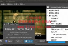 面向Ubuntu的Sopcast Player 0.2.1包-服务器评测