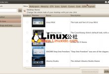 Ubuntu 10.04下的主题美化软件Epidermis-服务器评测