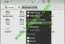 Ubuntu 10.04下安装仿Mac OS X主题：Macbuntu-服务器评测