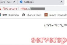谷歌浏览器(Google Chrome)提示“Not secure”怎么办?-服务器评测