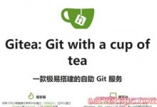 如何在CentOS8上安装Gitea自建git服务器教程-服务器评测