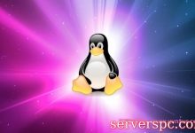 Linux服务器/VPS配置、网速、带宽、IO、性能、Netflix等一键测试脚本-服务器评测
