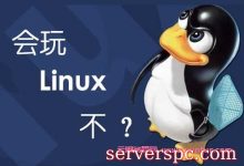 linux一键重装脚本：可安装Centos、Debain、Ubuntu系统-服务器评测