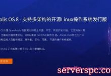 龙蜥操作系统(Anolis OS)是CentOS 8 100%兼容替代版本,好用吗?-服务器评测