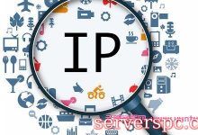 什么是原生IP和广播IP?原生IP与广播IP的区别及网站优化影响-服务器评测