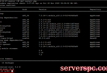 CentOS环境下通过YUM安装软件-服务器评测