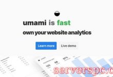 umami：一款简单、易用、自行部署的网站统计程序-服务器评测