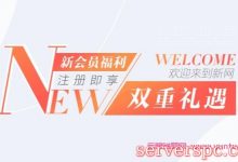 新网：网站建设0元、企业邮箱0元、.com域名19元，.cn域名16元-服务器评测