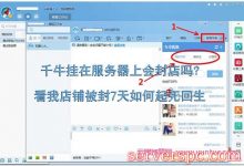 千牛挂在服务器上会封店吗?看我淘宝店铺被封7天如何起死回生-服务器评测