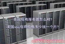 美国母鸡服务器怎么样?美国vps母鸡价格多少钱一个月?-服务器评测