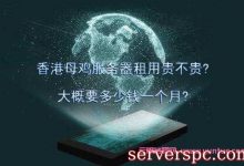香港母鸡服务器租用贵不贵?大概要多少钱一个月?-服务器评测