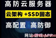 高防云服务器哪家便宜?高防云服务器价格多少钱1月/1年?-服务器评测