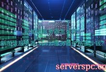 新加坡服务器怎么样?新加坡服务器/vps云服务器价格多少钱?-服务器评测