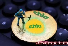 买云服务器挖chia币靠谱吗?租云服务器能不能挖chia币?-服务器评测