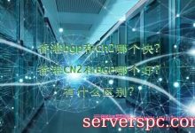 香港bgp和cn2哪个快?香港CN2和BGP哪个好?有什么区别?-服务器评测