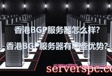 香港BGP服务器怎么样?香港BGP服务器有哪些优势?-服务器评测