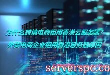 为什么跨境电商租用香港云服务器?外贸电商企业租用香港服务器原因-服务器评测