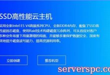 比格云主机怎么样?比格云服务器是怎么收费的?-服务器评测