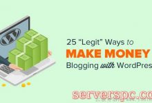 利用wordpress博客在网上赚钱的25种方法-服务器评测