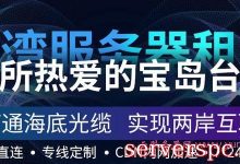 租用台湾服务器要注意哪些问题?如何选择稳定的台湾服务器?-服务器评测