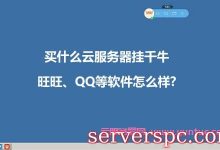 买什么云服务器挂千牛或淘宝旺旺、QQ等软件怎么样?-服务器评测