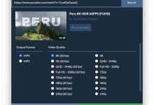 为什么每个人都使用SnapDownloader下载YouTube视频？-服务器评测