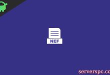 什么是NEF文件？如何在Windows 10中打开NEF文件？-服务器评测