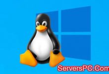 如何查看Linux系统内核版本?查看Linux内核版本的命令-服务器评测