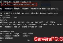 ip反查域名的方式有哪些?如何通过域名查ip地址-服务器评测