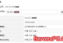 ip地址查询-最新纯真IP数据库-纯真真实ip查询地址-服务器评测