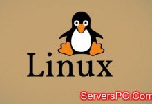 Linux(Debian 10)服务器上如何备份MySQL数据库?-服务器评测