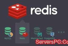 WordPress如何关闭30天自动清理回收站功能-服务器评测