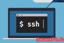 如何检查搬瓦工SSH端口被封?如何更改SSH端口的办法-服务器评测