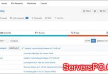 基于Ubuntu 20.04安装Gitea自建Git服务器环境-服务器评测