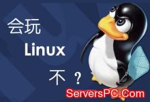 linux一键重装脚本：可安装Centos、Debain、Ubuntu系统-服务器评测