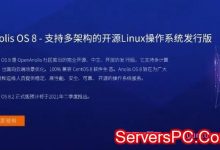 龙蜥操作系统(Anolis OS)是CentOS 8 100%兼容替代版本,好用吗?-服务器评测