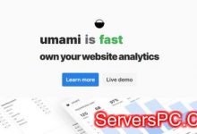 umami：一款简单、易用、自行部署的网站统计程序-服务器评测