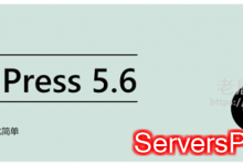 WordPress 5.6程序升级，体验最新二〇二一主题-服务器评测