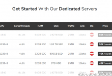 *每月仅需 40 欧元！奥地利、荷兰、美国的专用服务器-服务器评测
