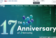 Netrouting | 专用裸机服务器。500TB 流量 + 专用 10GE 上行链路-服务器评测