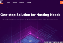 感叹存储专用服务器 48 TB 仅需 65 美元/月 | NetDynamics LLC-服务器评测