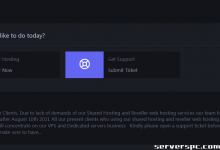 *ViridWeb.com | 便宜 | 俄罗斯专用服务器 | 10Gbps | 比特币支付 | 80 美元起-服务器评测
