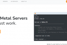 *奥地利、荷兰和美国的专用服务器每月 40 欧元起！-服务器评测