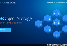 ★ PSYCHZ NETWORKS ★ - 10Gbps 无限流量服务器闪电战-服务器评测