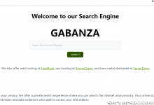 *双 E5-2650L v2（256GB 内存）、2TB SSD、10GB DDOS。德克萨斯州达拉斯，每月 85 美元-服务器评测