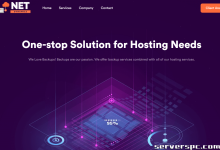 *存储专用服务器 48 TB 仅需 65 美元/月 | NetDynamics LLC-服务器评测