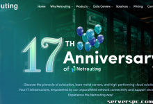 Netrouting | 大幅折扣的黑色星期五裸机服务器套餐促销-服务器评测