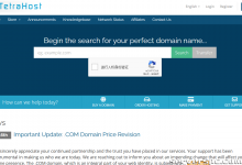 TetraHost：带有特殊 IP 的专用服务器，价格低至 110 美元-服务器评测