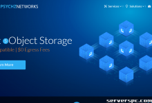 ★ PSYCHZ NETWORKS ★ - 10Gbps 无限流量服务器闪电战-服务器评测