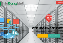 微笑HaBangNet - 中国大陆、香港CTG-GIA、欧美独服优惠-服务器评测